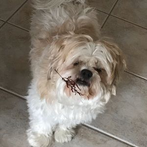 Meet your Posher, Chantal